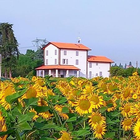 La Collinetta B&B Crespellano Eksteriør bilde