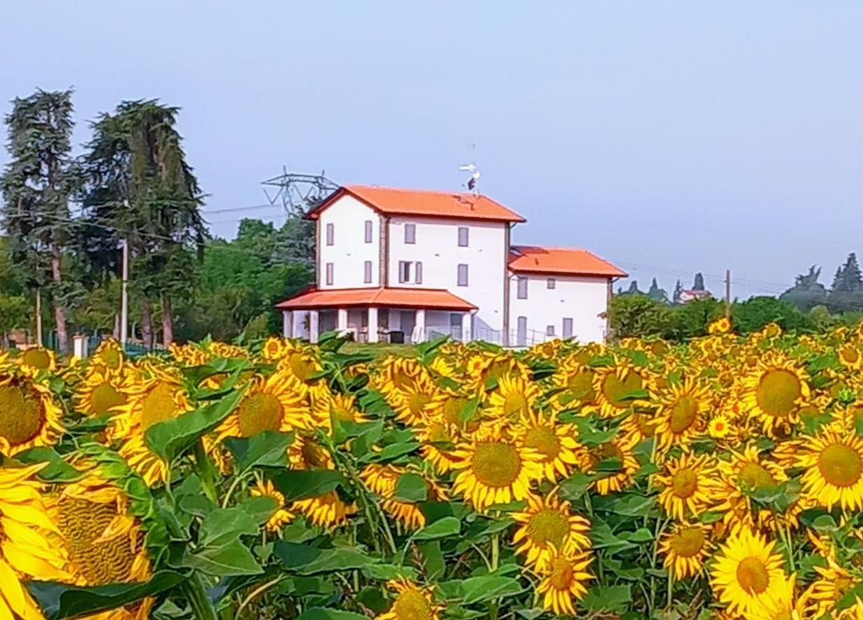 La Collinetta B&B Crespellano Eksteriør bilde