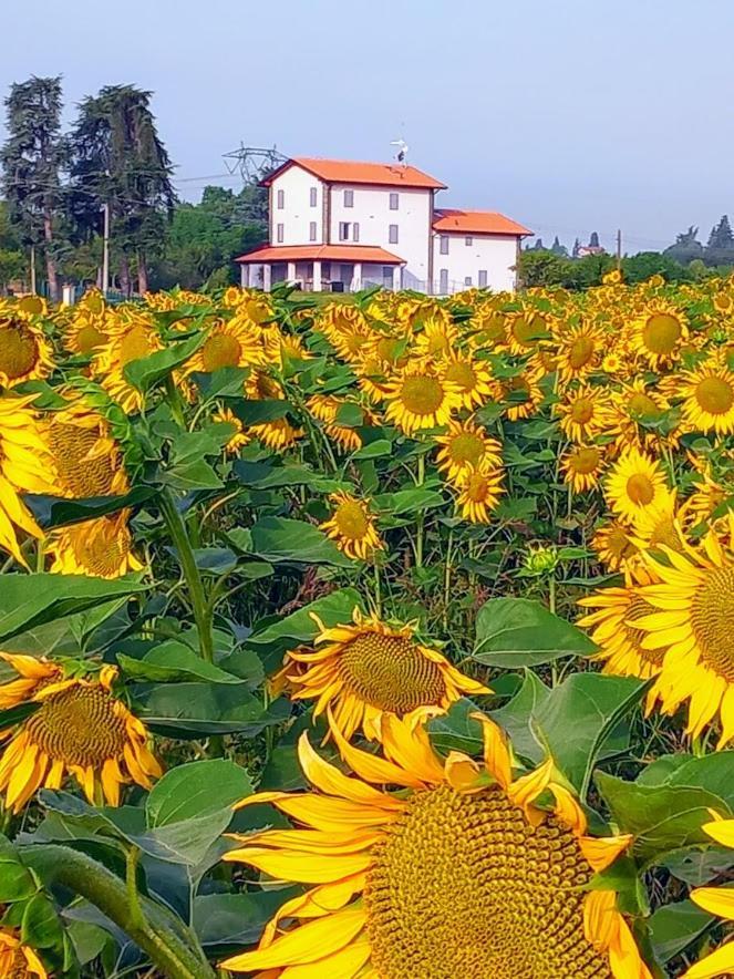 La Collinetta B&B Crespellano Eksteriør bilde